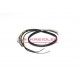 Cableado