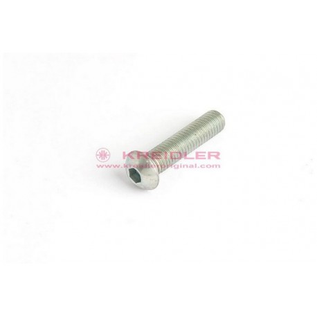 Flachrundschraube mit Innensechskant M8x35