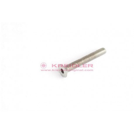 Senkschraube mit Innensechskant M6x45 WN
