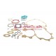 Set of gaskets with seals 4 and 5 speed