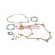 Set of gaskets