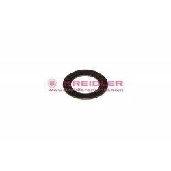 Scheibe