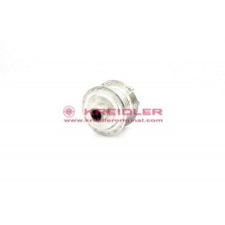 Hub body