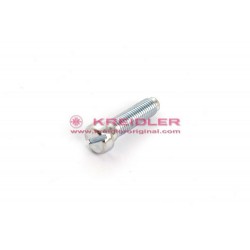 Stellschraube für Vergaser 15.60.94