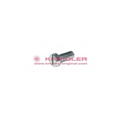 Schraube für Vergaser 315.03.87