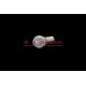 Bulb 12V 35/35W white DIN 72601