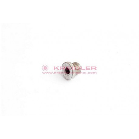 Inbus bout M10x1 DIN 908