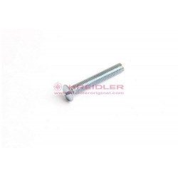 Linsenschraube M6x40 DIN 91