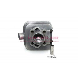 Cilindro con pistón NL Mahle sub.15.13.99a
