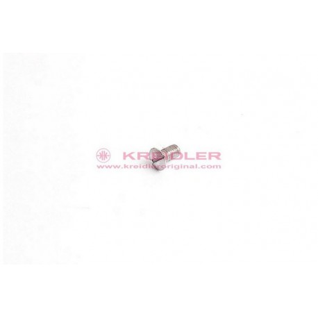 Linsensenkschraube AM4x8 f. Lampenabdeckung