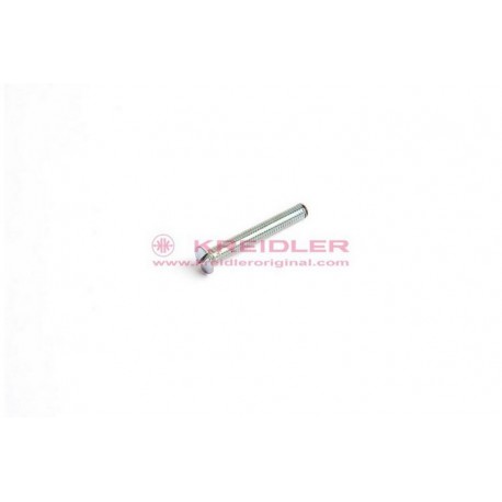 Lensbout M6x45 DIN 964