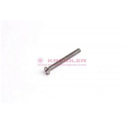 Parafuso lentilha M6x55 DIN 964