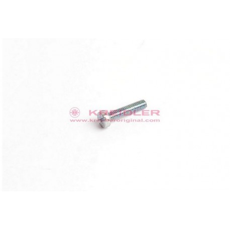 Fillister head screw M4x18  BOSCH