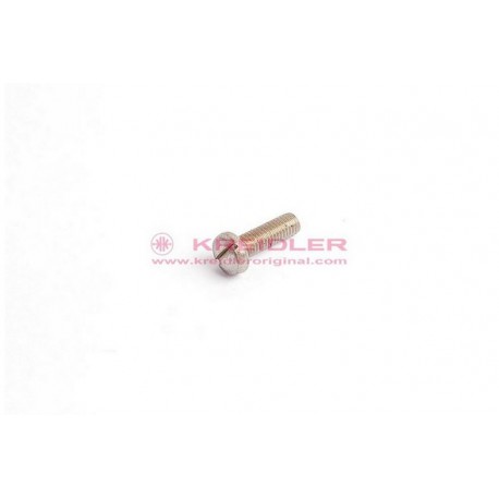 Tornillo AM5x15 DIN 84