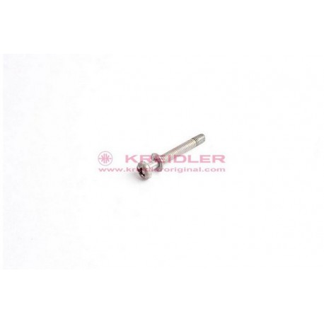Fillister head screw BM4x30 DIN 84