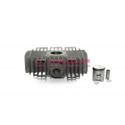 Cilindro con pistón Mahle