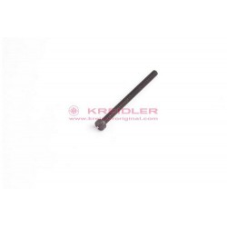Zylinderschraube M4x55 DIN 84