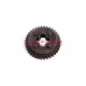 Gear wheel cpl. (15.56.13)