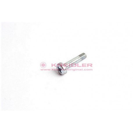 Tornillo (Magura)