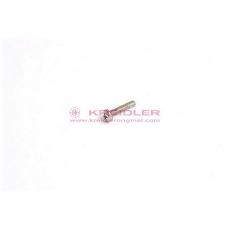 Linsenschraube AM4x20 Sp. DIN 7985