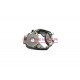 Cárter central