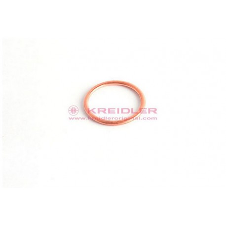 Anillo de cierre 28x33