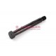 Screw for swinging arm mounting
