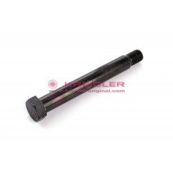 Tornillo basculante