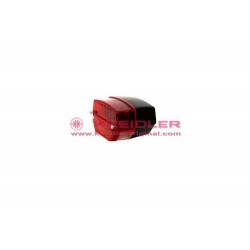 Combination tail-brake-licence plate light