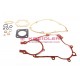 Set of gaskets