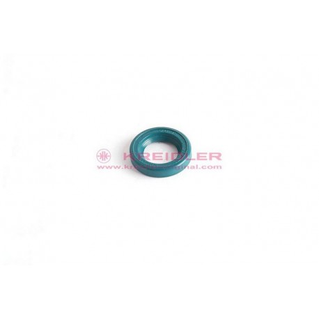 Oil seal 15x25x5 DF